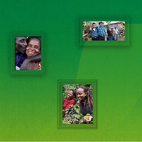 Nestle Prof LP Respect