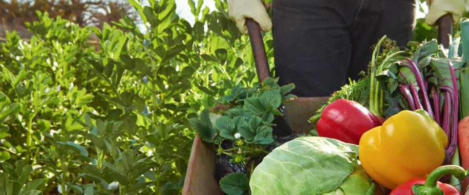 Odpowiedzialność społeczna