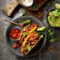 gardengourmet sensational mince tex