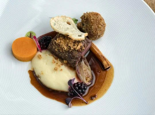 Comber z sarny w pierniku / puree z pasternaku / demi-glace z sarny / skorzonera / dynia