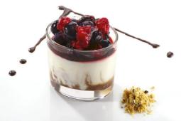 Panna Cotta