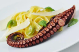 Tagliatelle / ośmiornica grillowana / sos pomarańczowy / bób / bazylia