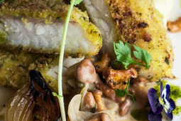 Sandacz w zielonej panierce, podany na puree chrzanowym z sosem na bazie fondu rybnego z dodatkiem kurek w śmietanie