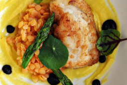 Żabnica / papryka / Nero di sepia / czerwona soczewica / zielone szparagi