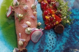 Pstrąg łososiowy/salsa/pumpernikiel/zioła